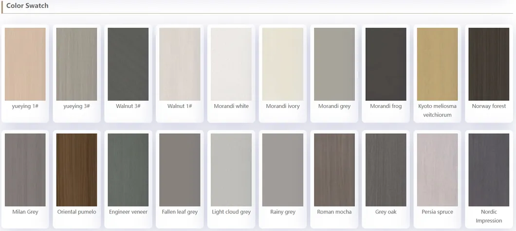 Free Painting Wooden Interior Doors with Modern Design