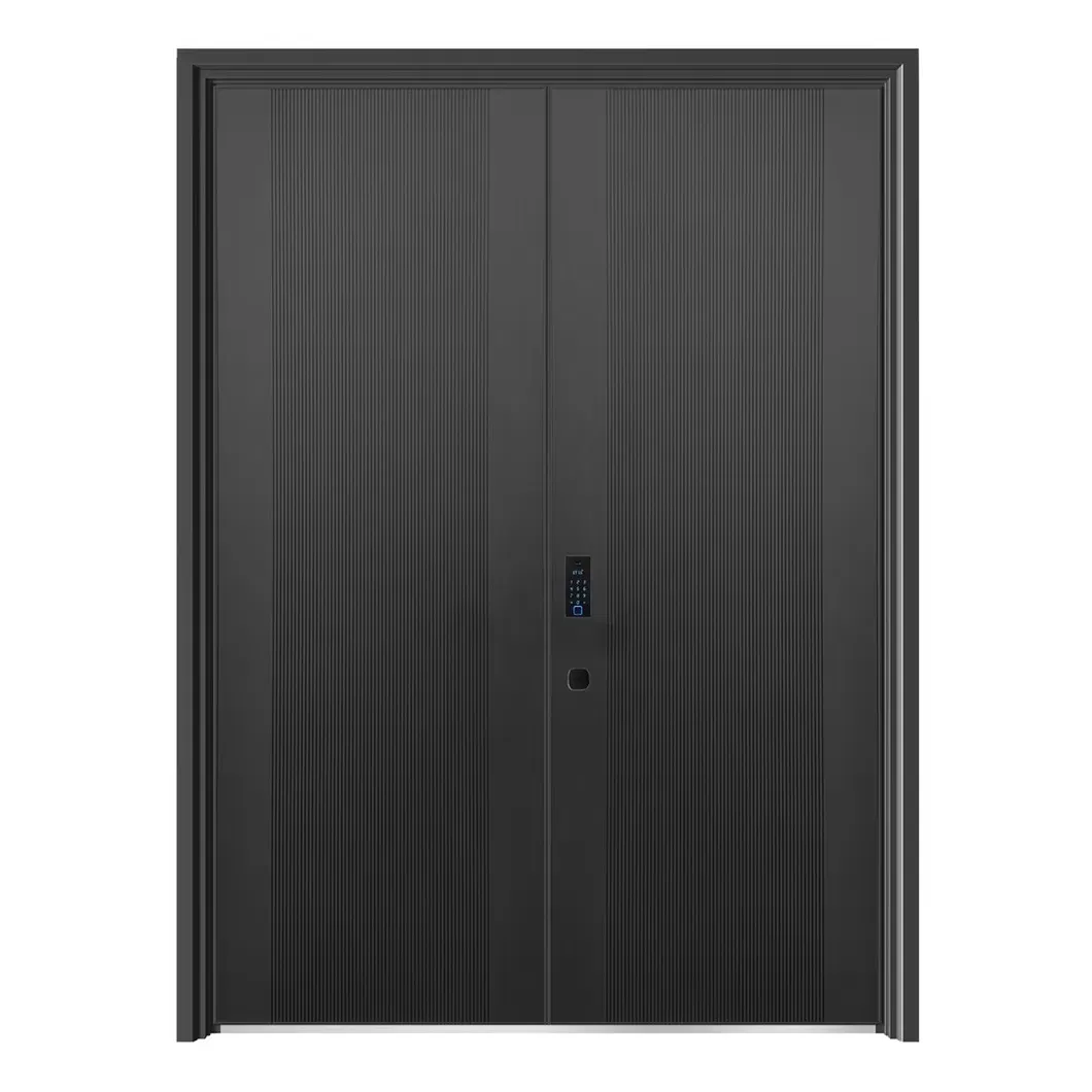 Vlia Cast Aluminum Front Door Customized Unequal Double Door Exterior Door