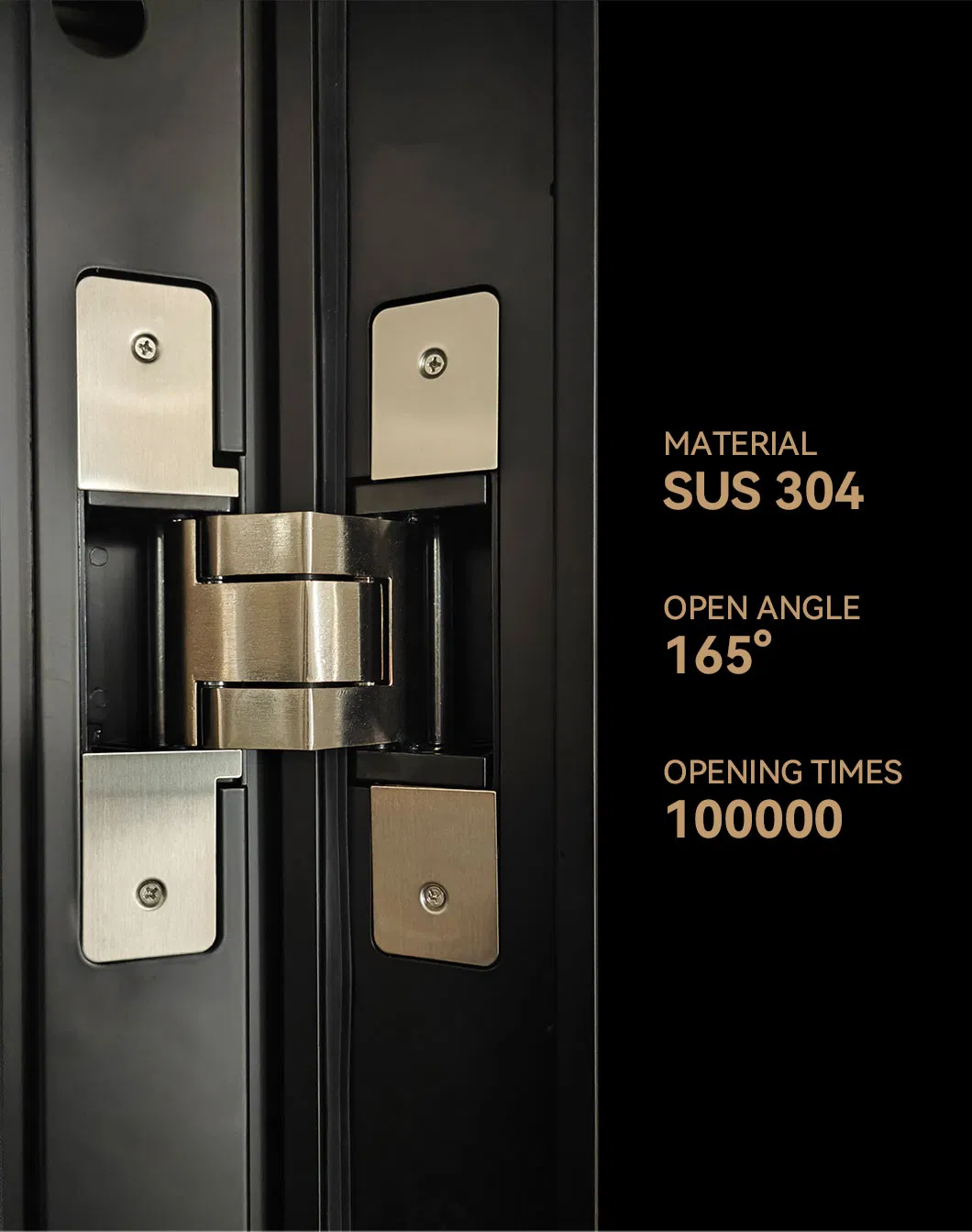 Vlia Cast Aluminum Front Door Customized Unequal Double Door Exterior Door